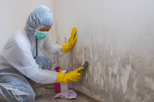Crawl Space Mold Removal in Mangonia Park, FL