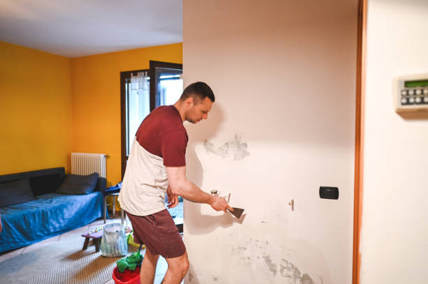 Best Office Mold Removal Services  in Mangonia Park, FL